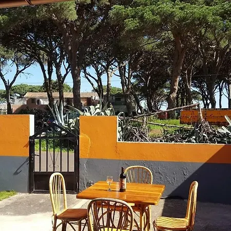 Casa Pinos Landsted *